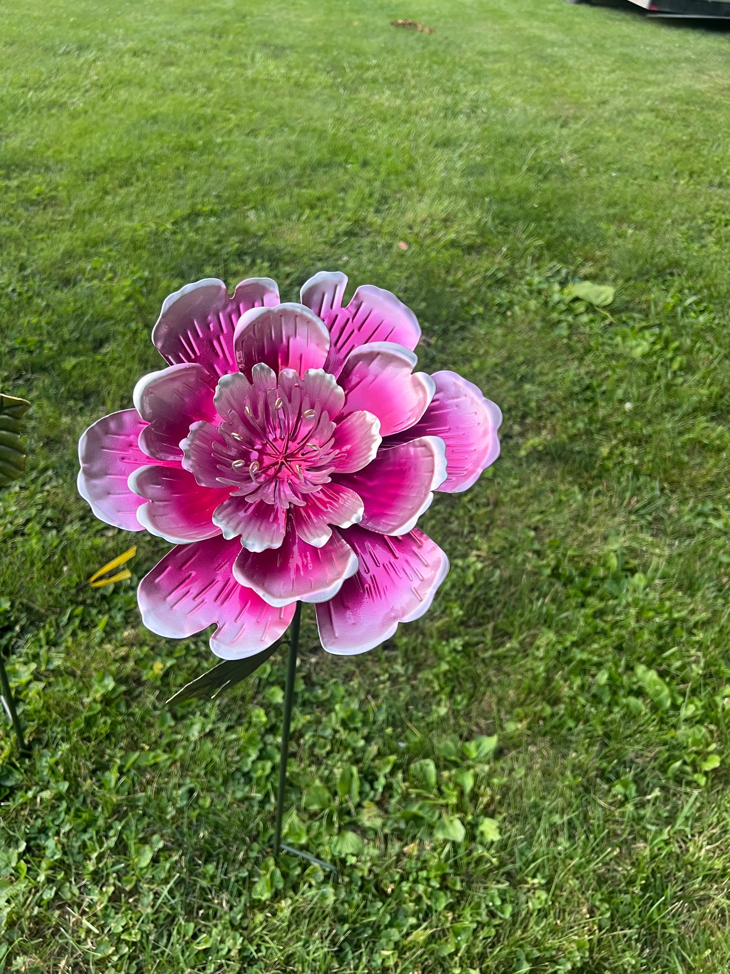 Light pink wobble flower