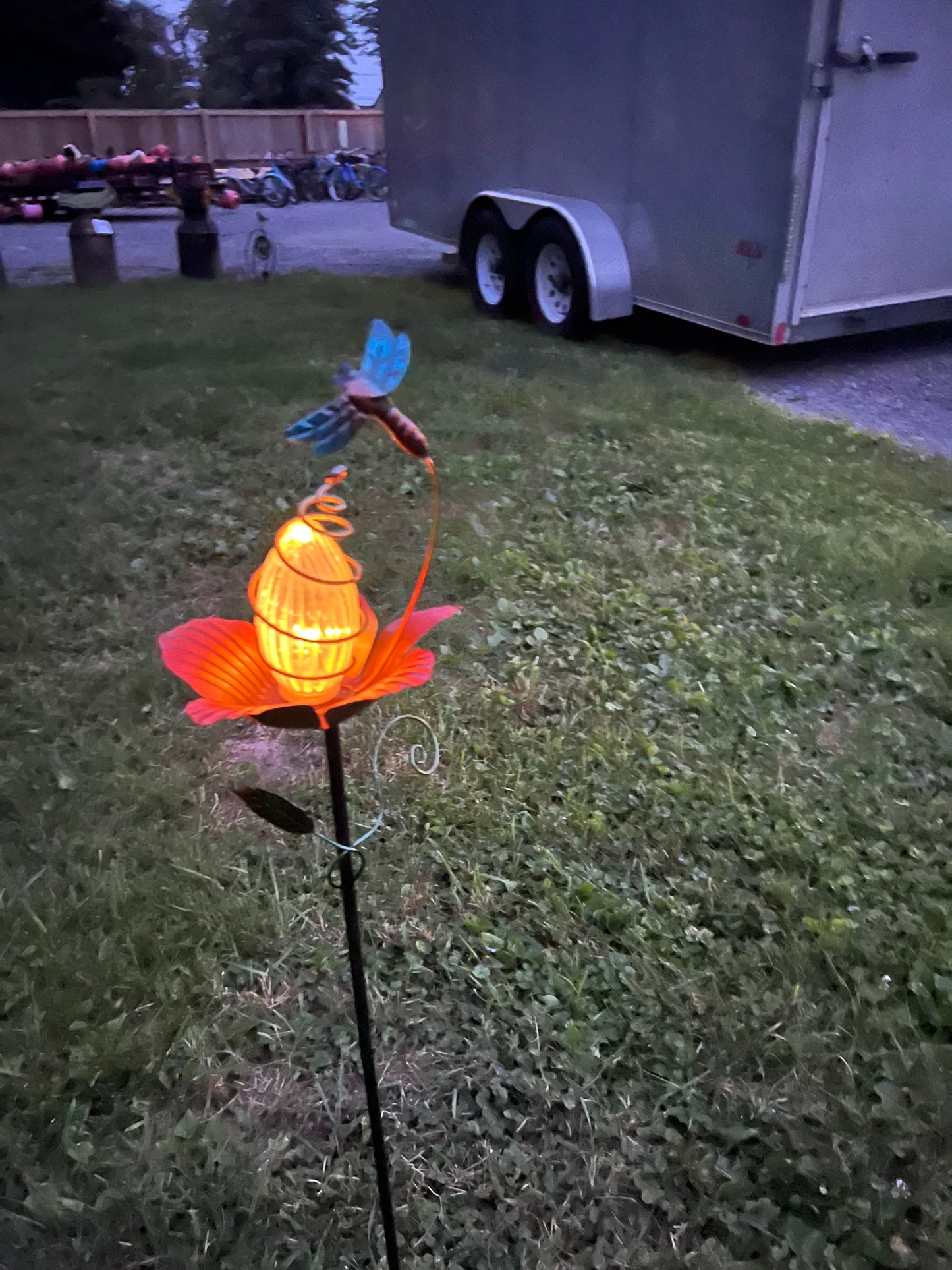 Dragonfly solar light yard stake