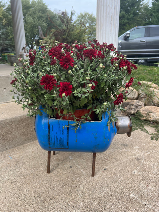 Blue pig planter