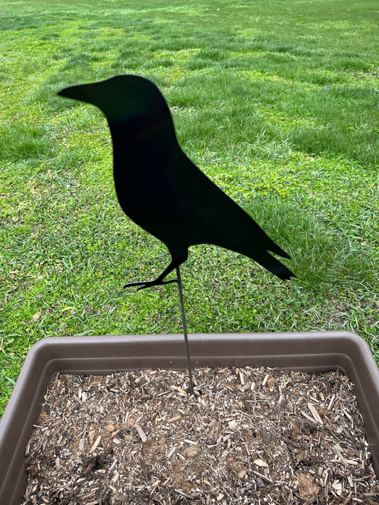 Black crow yard stake