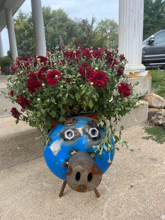 Blue pig planter